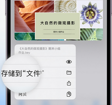 开远apple维修中心分享iPhone文件应用中存储和找到下载文件