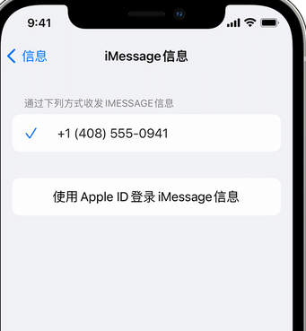 开远apple维修iPhone上无法正常发送iMessage信息 