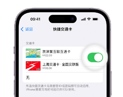 开远apple维修点分享iPhone上更换Apple Pay快捷交通卡手绘卡面 