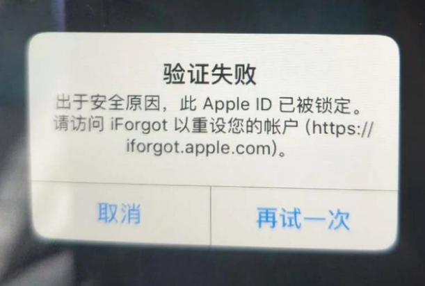 开远iPhone维修分享iPhone上正常登录或使用AppleID怎么办 