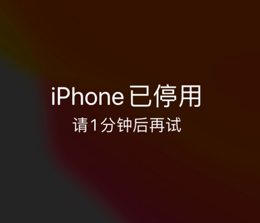 开远苹果手机维修分享:iPhone 显示“不可用”或“已停用”怎么办？还能保留数据吗？ 