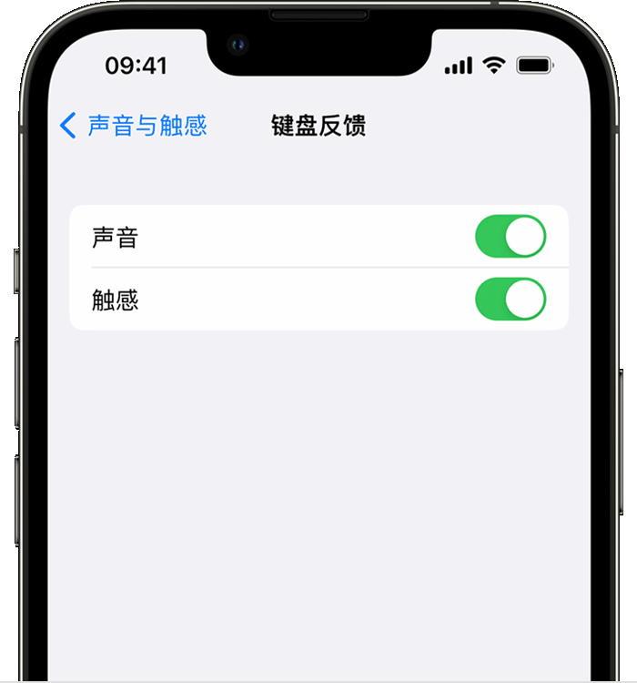 开远苹果14维修店分享如何在 iPhone 14 机型中使用触感键盘 