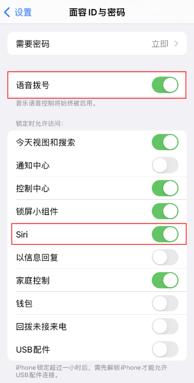 开远苹果维修网点分享不解锁 iPhone 的情况下通过 Siri 拨打电话的方法 