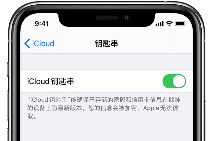 开远苹果手机维修分享在 iPhone 上开启 iCloud 钥匙串之后会储存哪些信息 